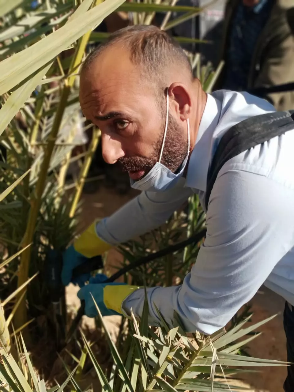 4e157f90635b614497e3998d28d410f2