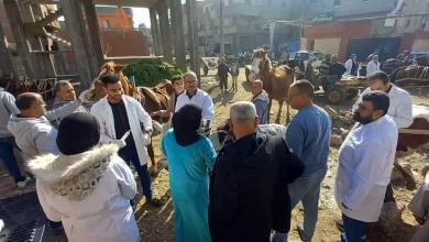 52a4273478cc6e33a42fb3e73fd05c0c