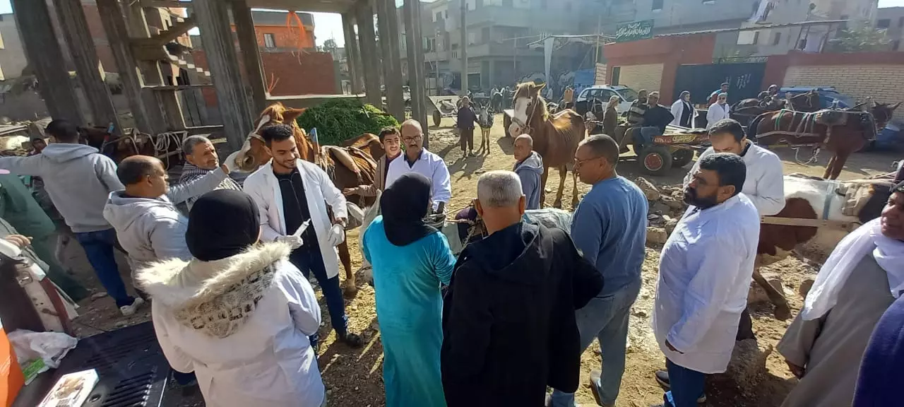 52a4273478cc6e33a42fb3e73fd05c0c