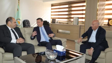 52d38de345b872a3e742ee8725a53e5d