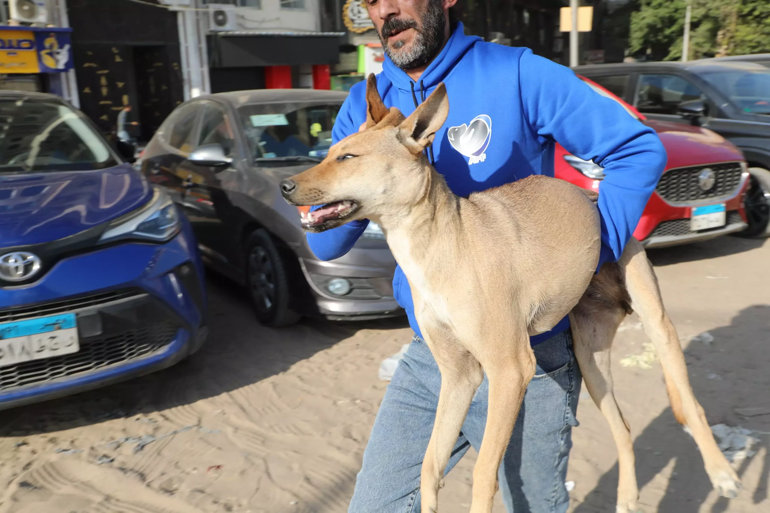 6402a7db26ee77021243d0760cc49e61