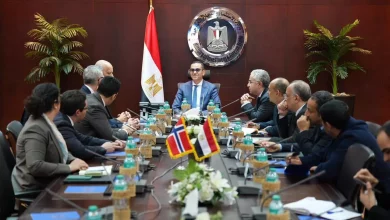 65ddefced1d06f295763a7482219782a