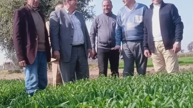 6851fda494b8bb8f9c90da9d2b265bc7