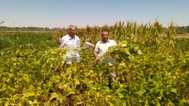 75287d2cd0d85c55788fab43b0d87790