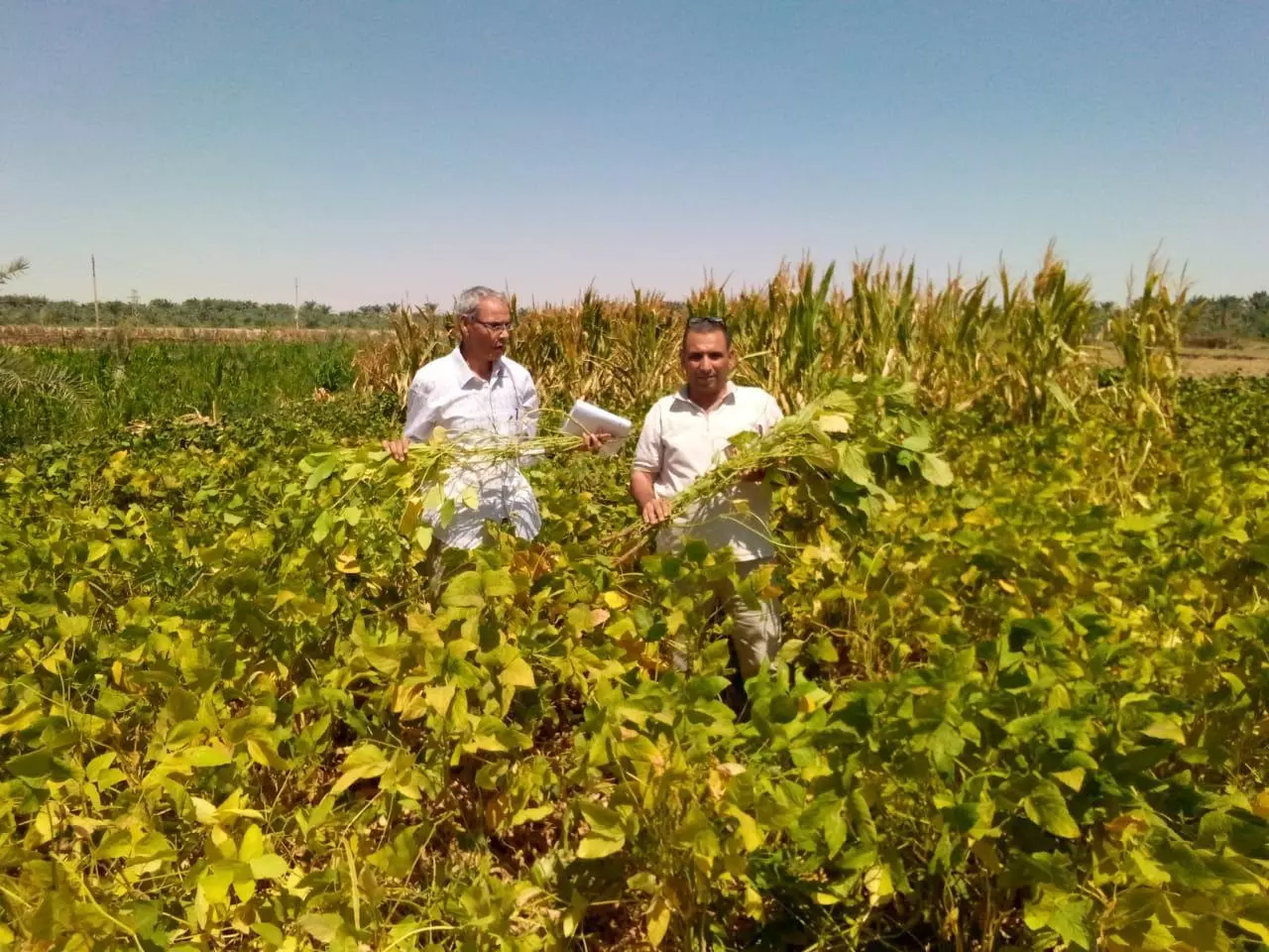 75287d2cd0d85c55788fab43b0d87790