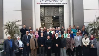 8056550277228e6cc92d71b5215f854f