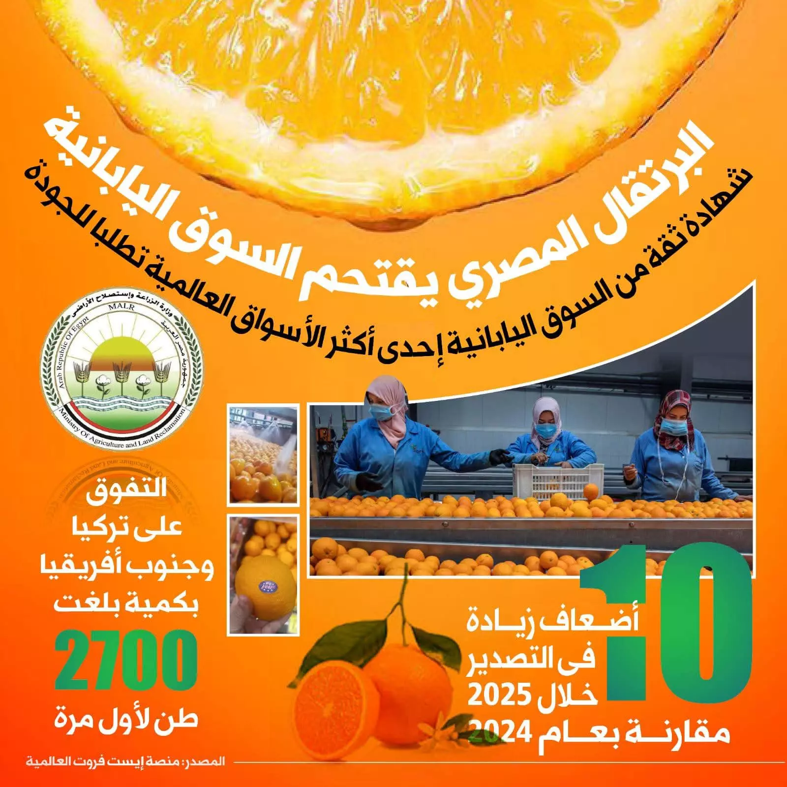 8315fd0fb5414a3ac7c44eb566e946e6