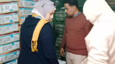 837f0f15caf4cd6f76c45f9b37bd5260