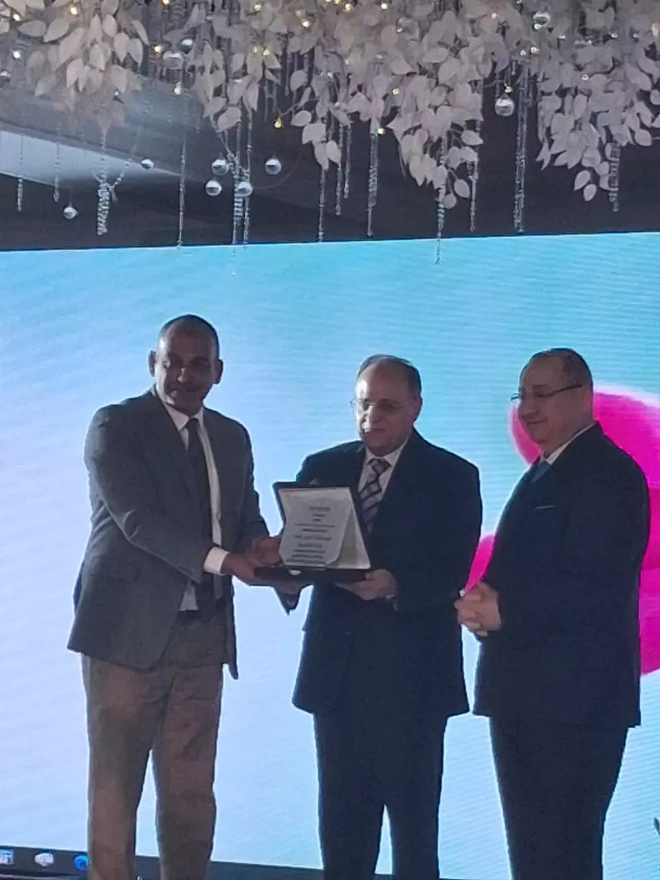 8385af75c84d0e2e65c413c4f14e5154