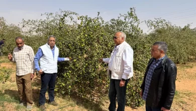 85d3384ce8f324bd022f6d3233476b04