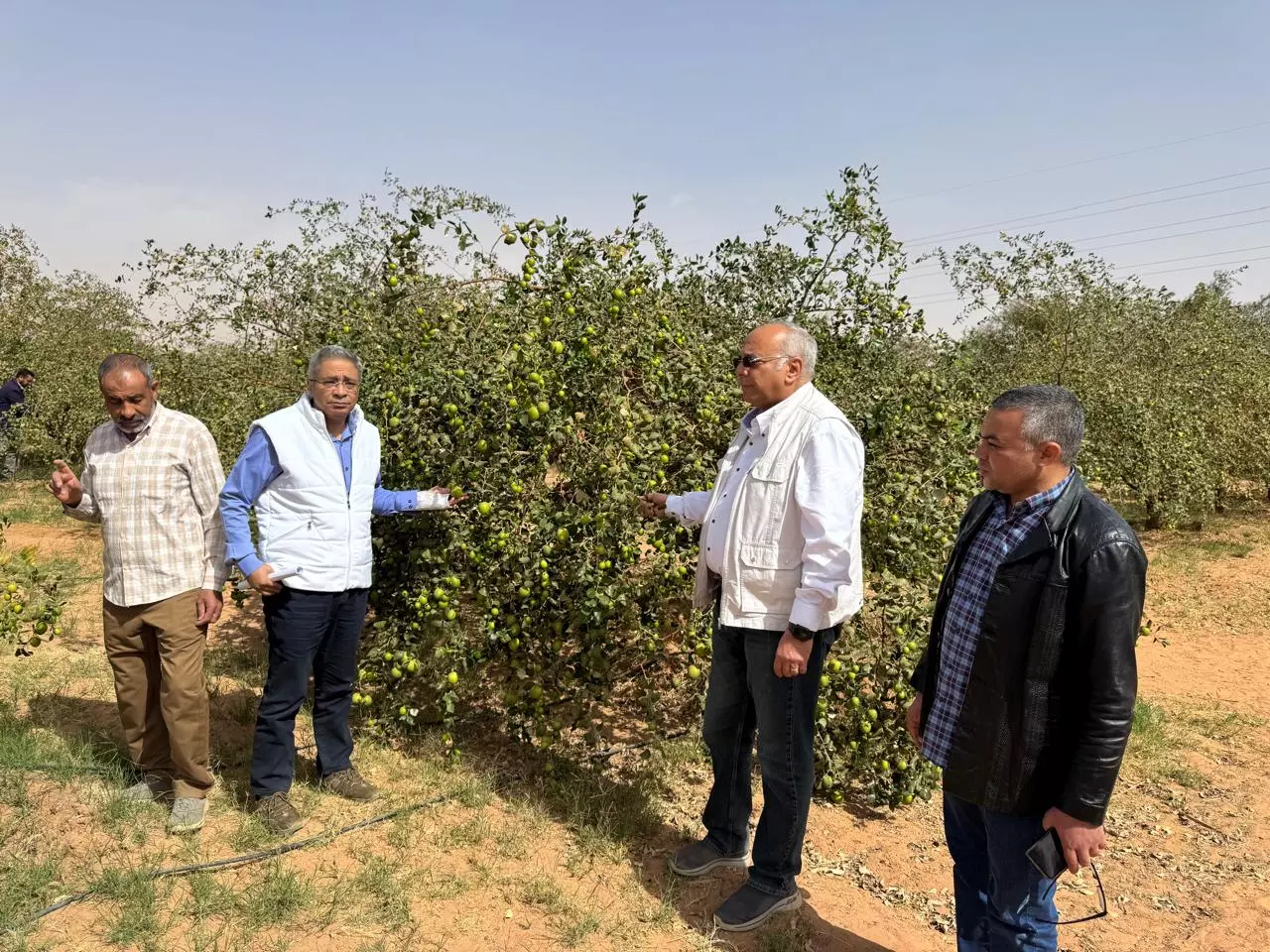 85d3384ce8f324bd022f6d3233476b04