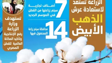 8b347b1f4093c5a67d30fa8dade7c7e8