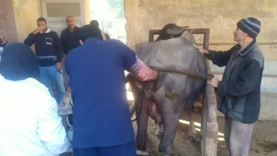 9283a504ff4f15eb7c8292ecb1f7d99e