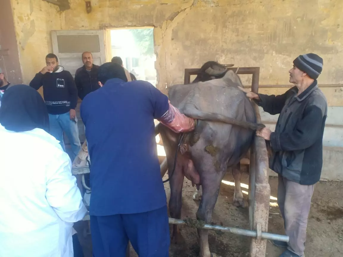 9283a504ff4f15eb7c8292ecb1f7d99e