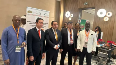 928a703e1e20fab5ed48cb7394e97024