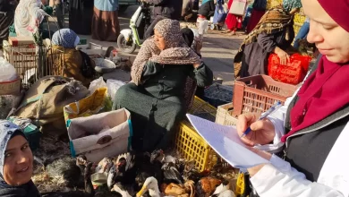 9ad1efad43e826a5a9d2c42a8aa4b467