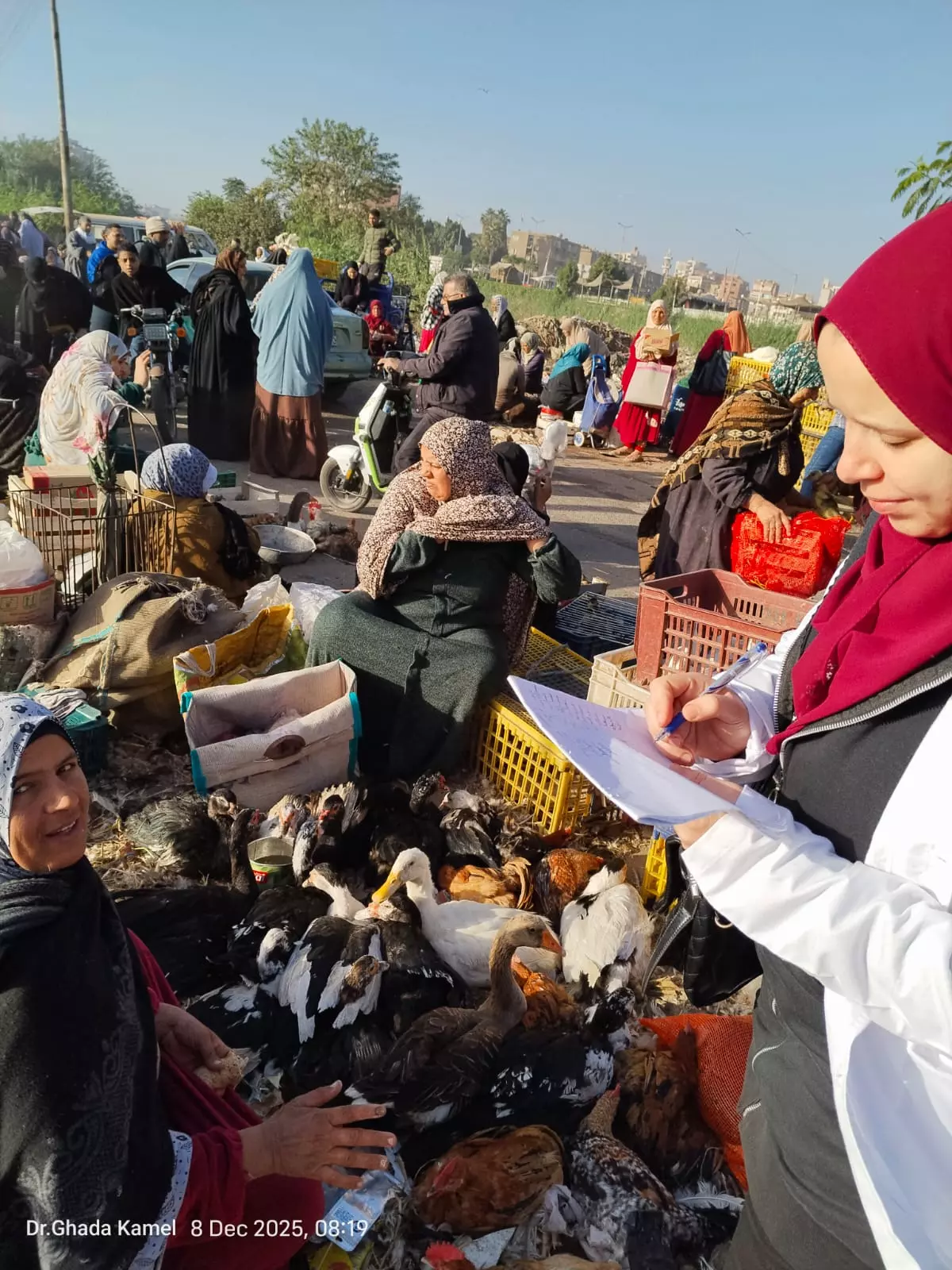 9ad1efad43e826a5a9d2c42a8aa4b467