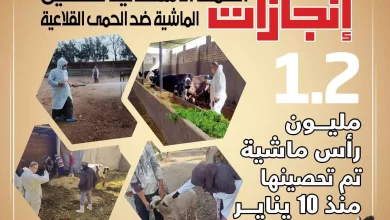 B0dd8eea7b1d9941d1a3357945c9a495