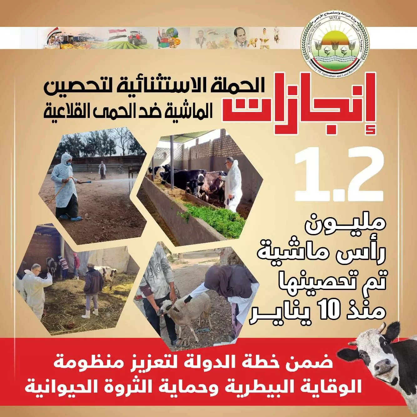 B0dd8eea7b1d9941d1a3357945c9a495