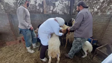 B538aec0d59595dc305aea4013ffd714