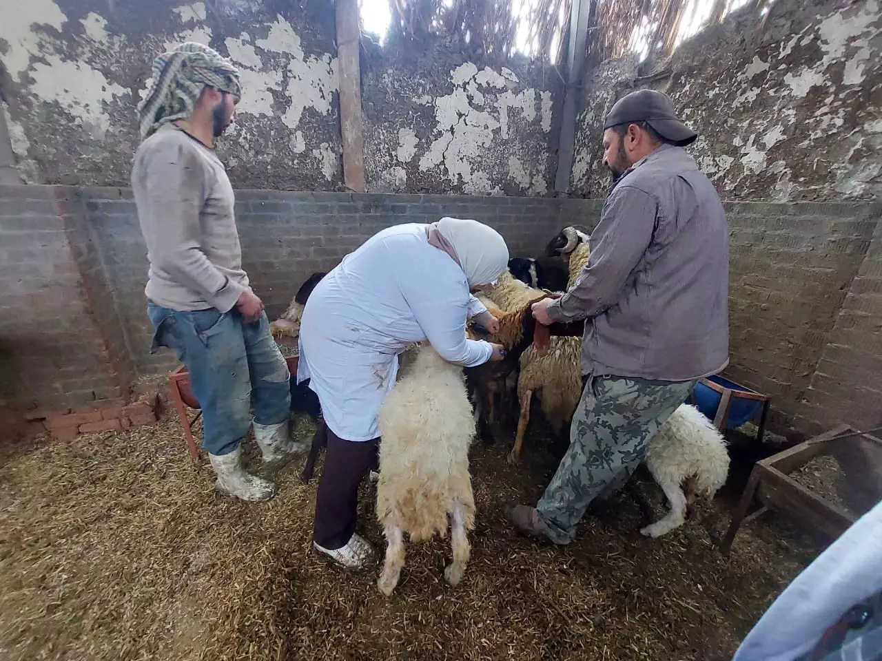 B538aec0d59595dc305aea4013ffd714