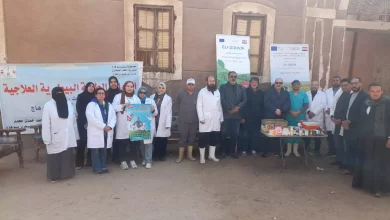 B5e09a5f1749532ad8408c0caa933b91