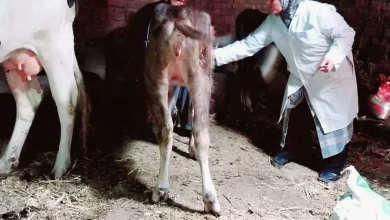 B765c0033063f8c0e28ae76166736992