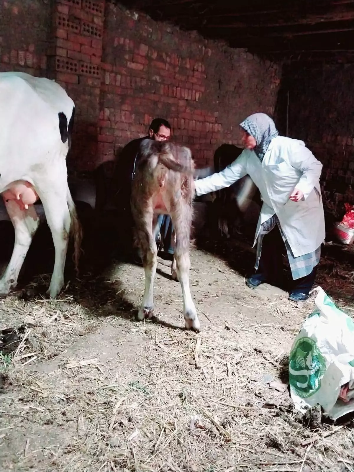 B765c0033063f8c0e28ae76166736992