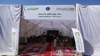 B8196b8f04d3badce4ad6e102fc45181