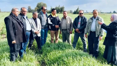 Ca04f7294a66aaea74fa1590667f404c