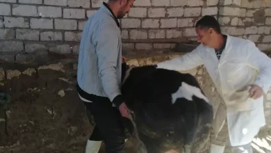 Ca2602ef8e7bd8200df5a3acbe280494