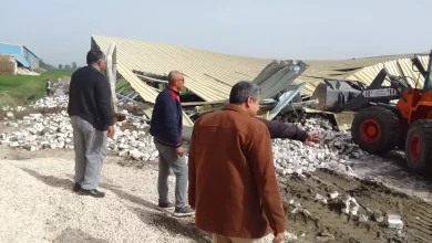 D3ee2490aeb3a36dd374ead697e5fbd2