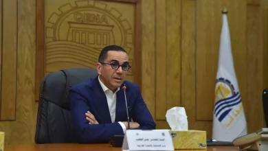 D4905230e42ab7c4365b8a44a4679aa8