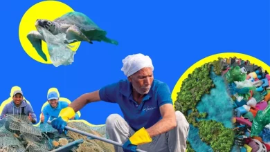 D695f9129c9df470f341d53374e8e5b4