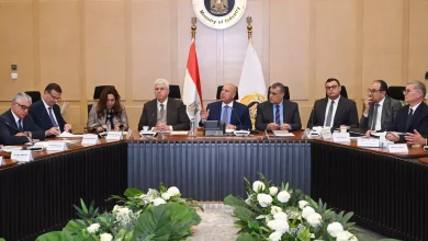 D7005f929b149befe83b2d16aae55810