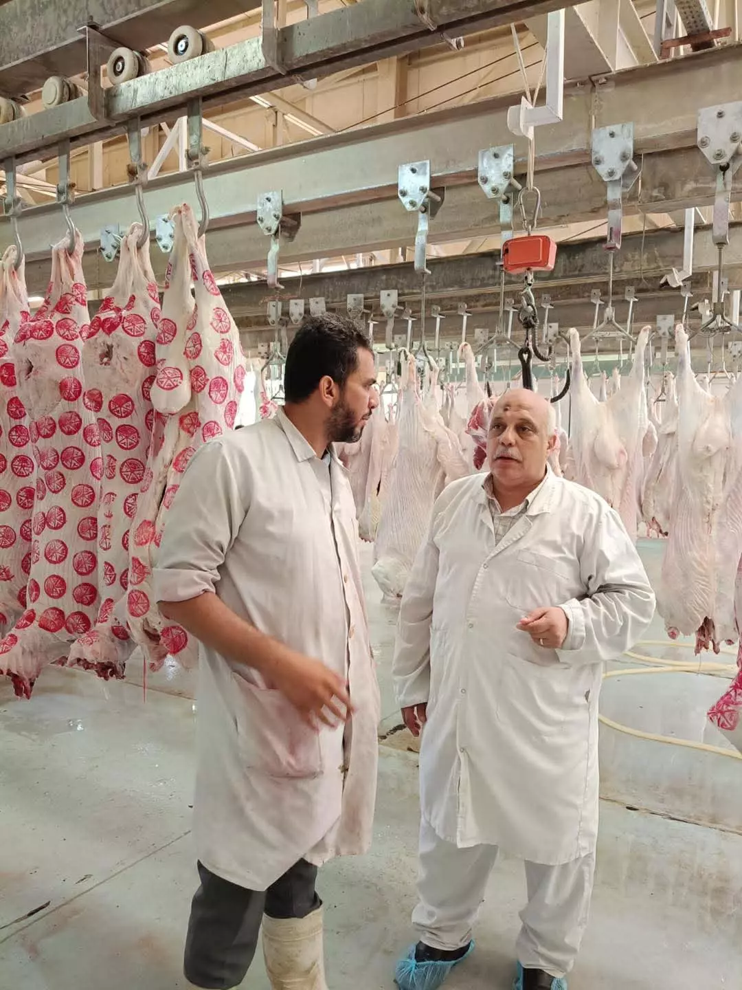 Dce17cac875ba6629ec2785bc12c46e2