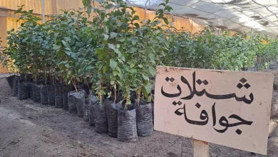 E3ee3bf6fc2ca26c5aaaec92cb159d48