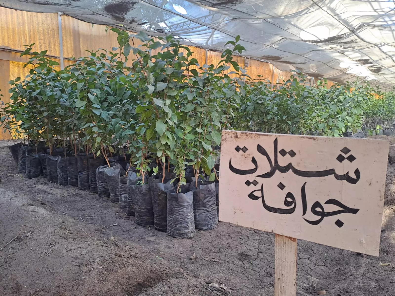 E3ee3bf6fc2ca26c5aaaec92cb159d48