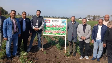 E40506be3f228733b35dd7fe6b84939e