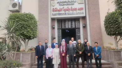 Ee0b1409dc3624ff556874244ffc74ab