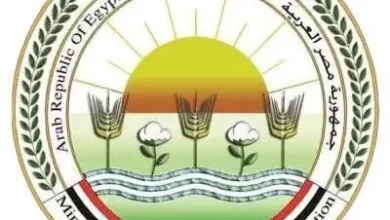 F4ce92a886e9893c55741df99b1697be