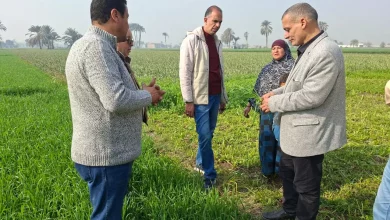 F6e6e6945f35aad59eac56ae8177d730