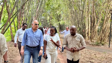 Fbdde28d12d1de18929c68018d7ce5d9