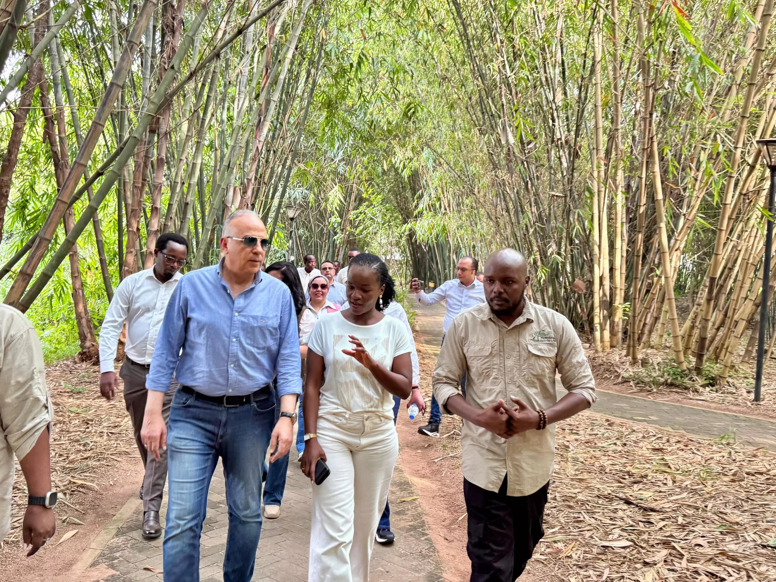 Fbdde28d12d1de18929c68018d7ce5d9