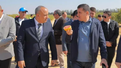 04c4727eaebfe8cd84390142b48a8e1d