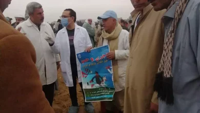 05559df965847a592af9b5527935afbb