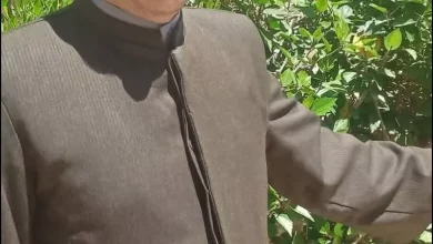 0756ca358340991de2db09c46a2b019a