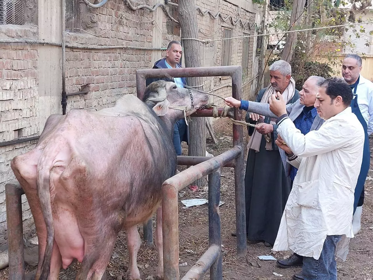 15b63d23af5b75fb1e0d03c2d9fdd081