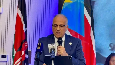 2032a01cb548fa686d45769564eb6e76