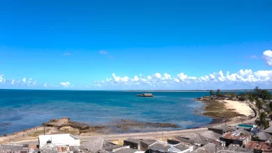 225d3038bd0393c865501f41701d4b18